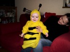 bee copy