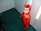 DSC00992.JPG