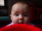 DSC01527