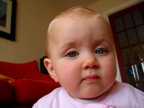 DSC02385.JPG