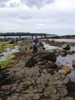 Palms Rock Ballycastle