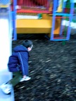 Dylan - Ballycastle Park
