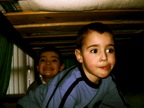 The Krays