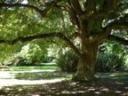 DSC00427.JPG