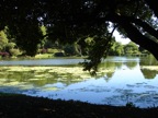 DSC00437.JPG