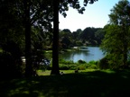 DSC02865.JPG