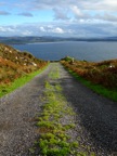 DSC03153.JPG